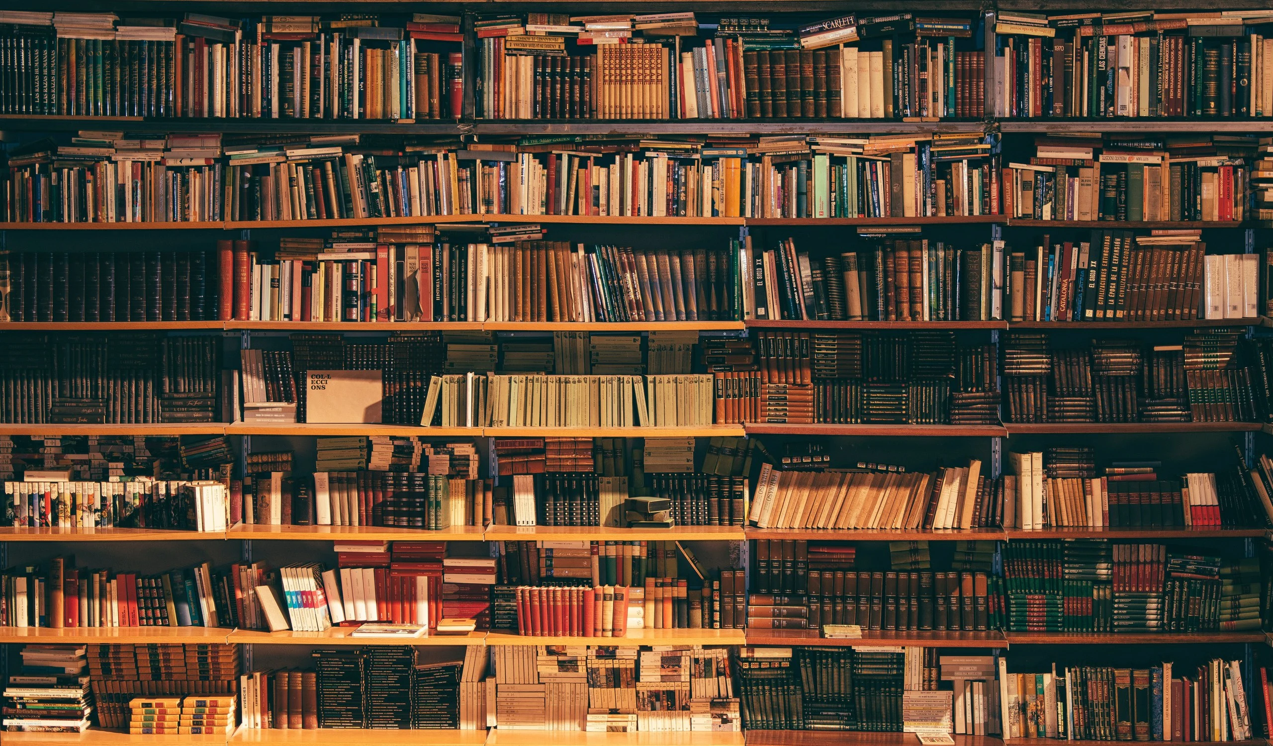 About Publishing Squad